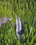 Split Stream