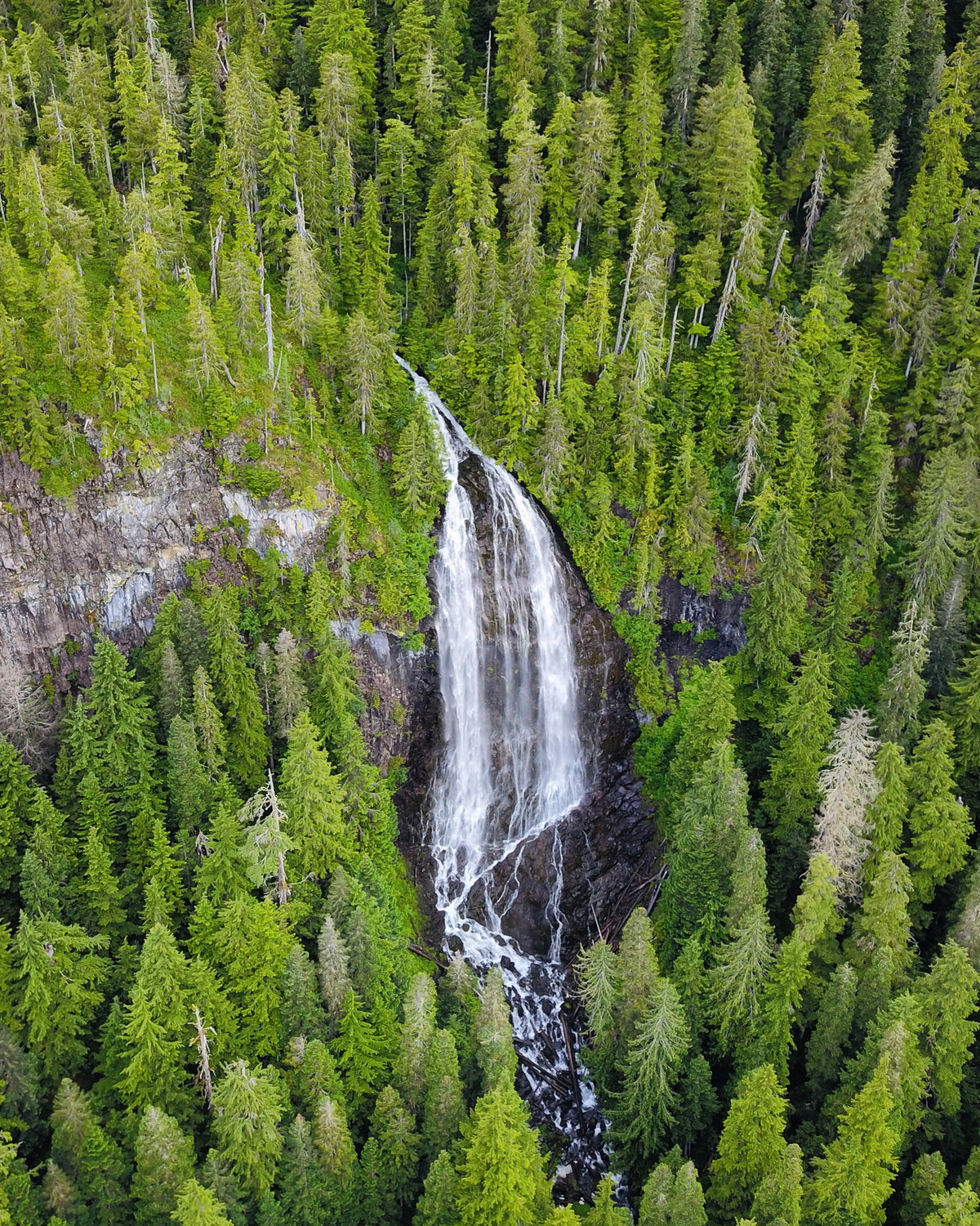 Split Stream