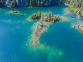 Apline Oasis