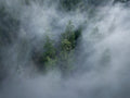 Veil