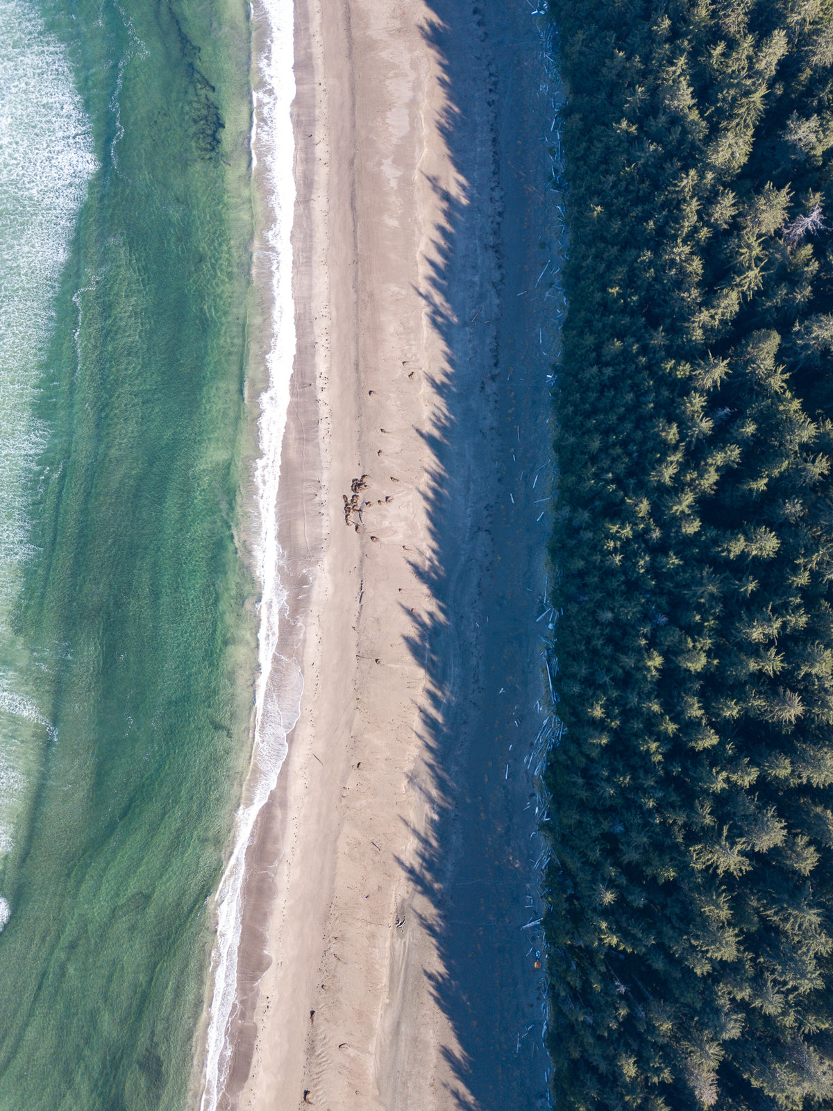 Coast Lines