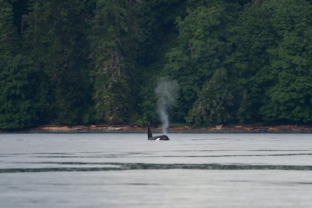 Smoke on the Water